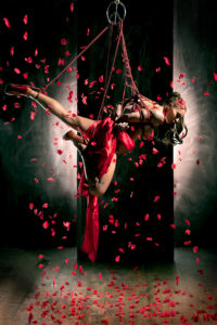shibari-Red-Flower-2015shibari bondage fetish rope corde