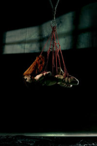 shibari-into-the-darknessshibari bondage fetish rope corde