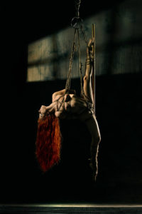 shibari-the-ascension shibari bondage fetish rope corde