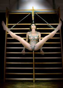 shibari bondage fetish rope corde 55