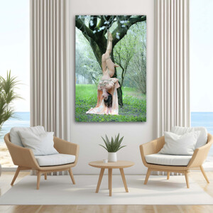 OPERE IN VENDITA PROMOZIONALE